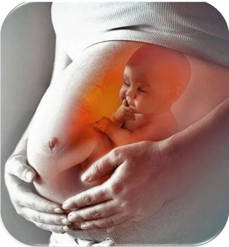 Курс Возрождение-психологические матрицы, влияющие на жизнь человека