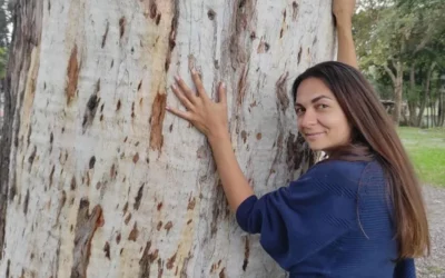 Психологическое консультирование