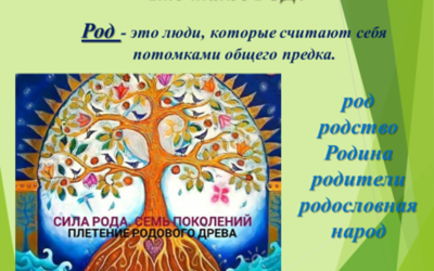 Обеспечение базовых потребностей, пространство семьи, прошлые накопления — опыт ( в том числе и стереотипы действий и отношений членов семьи), наличие финансов и других средств для реализации целей семьи, состав семьи. Информация о родовом Древе семьи.